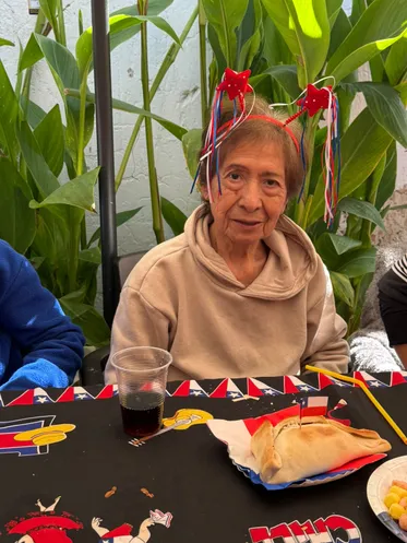 Fiestas Patrias 2026 - imagen 12